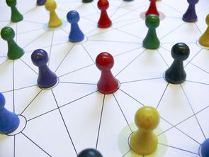 乐鱼体育-中国篮球青训教练员能力提升路径，篮球青训师的待遇怎么样