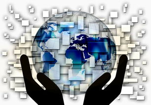 中国篮球青训体系课程体系优化方案，青训篮球课程教案大全